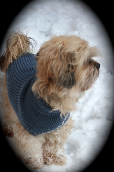 neige en 2013